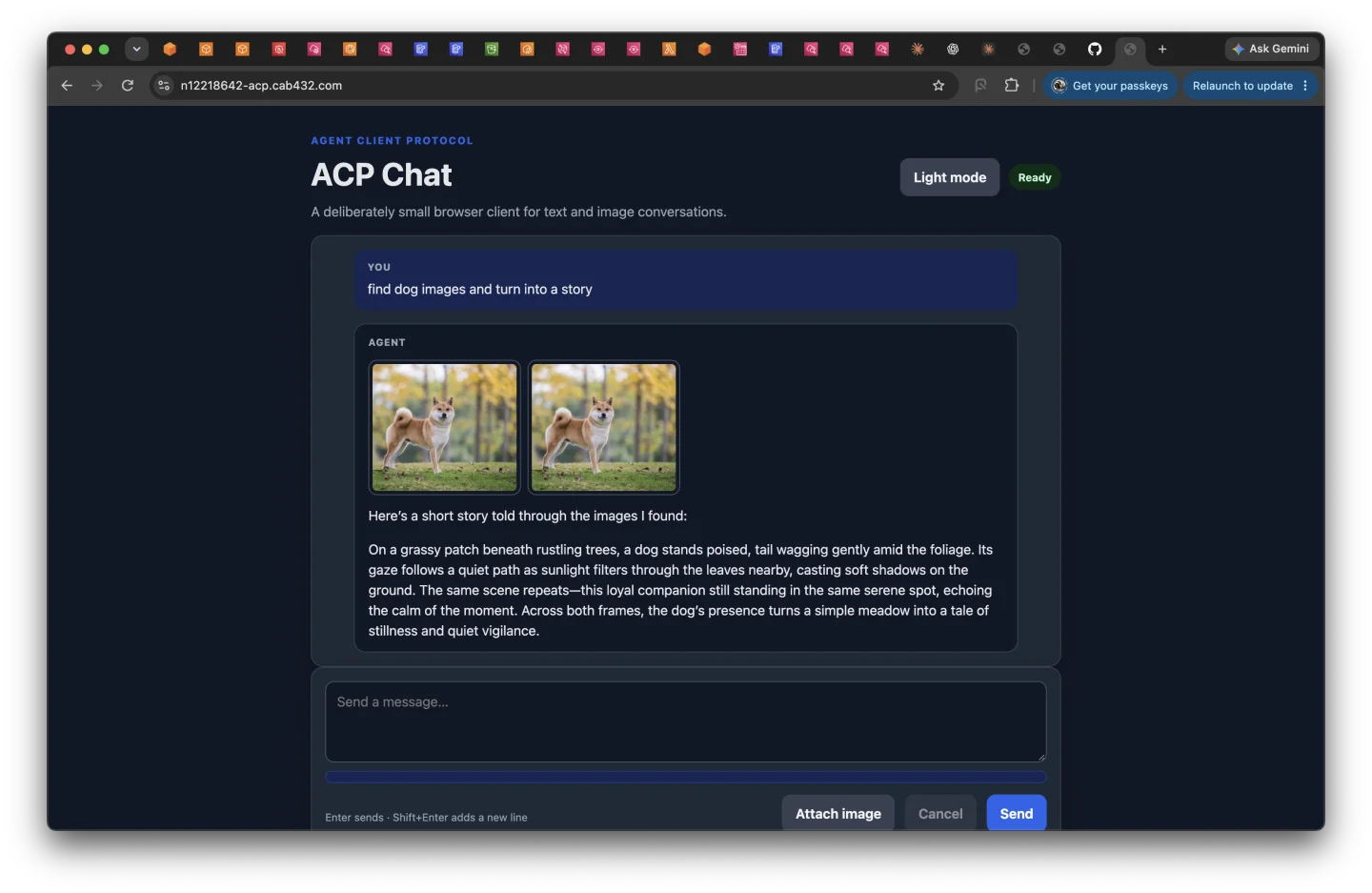 Strobe Assistant ACP Chat returning dog images and a grounded story